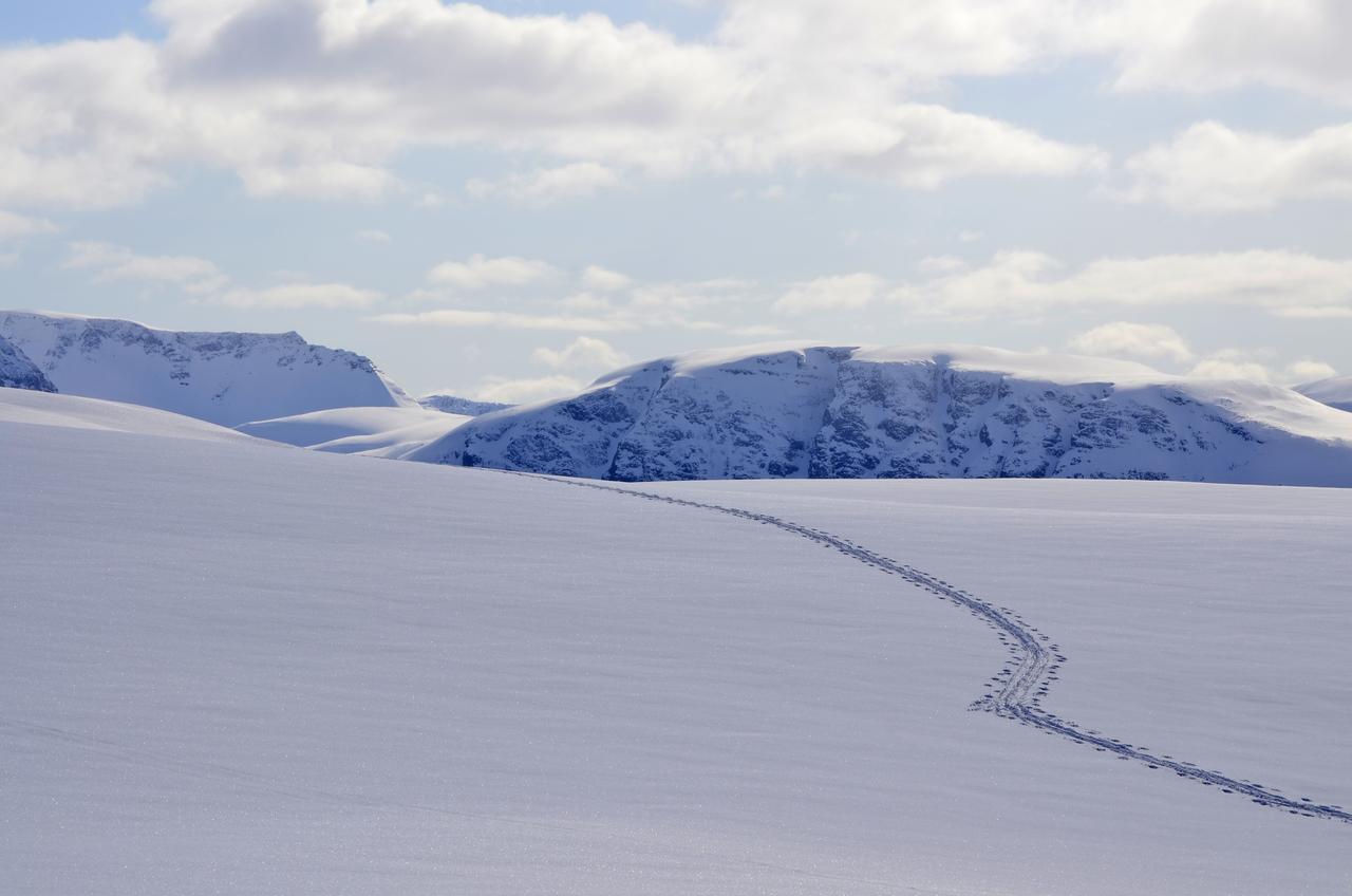 Gildetun Hotel Kvaenangsfjellet ภายนอก รูปภาพ